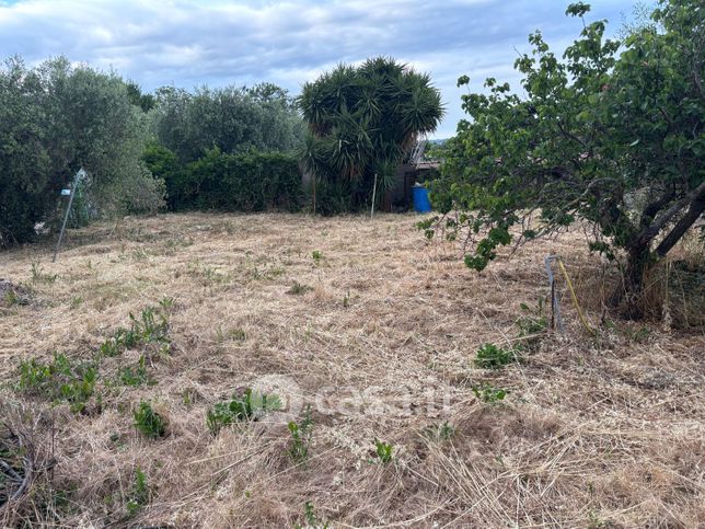 Terreno agricolo in commerciale in Via Cancelliera