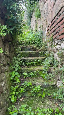 Terreno edificabile in residenziale in Via Giacomo Matteotti 37