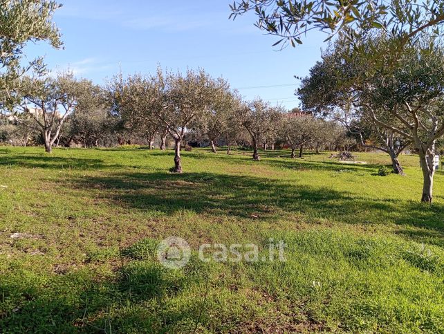 Terreno edificabile in residenziale in Strada Provinciale di Pezzingoli 51