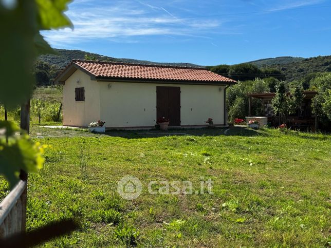Terreno agricolo in commerciale in Via asca
