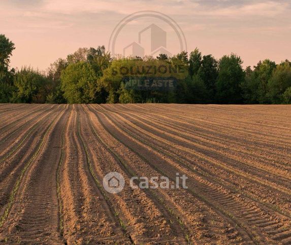 Terreno agricolo in commerciale in 