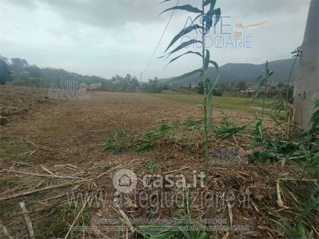 Terreno agricolo in commerciale in 