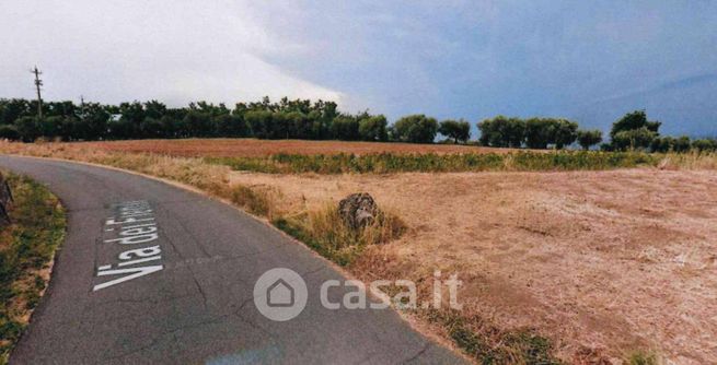Terreno agricolo in commerciale in Via dei Fienili