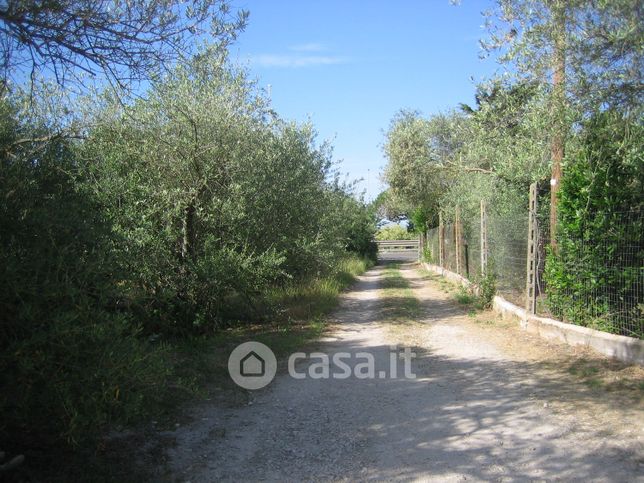 Terreno agricolo in commerciale in Strada Statale 131 Carlo Felice