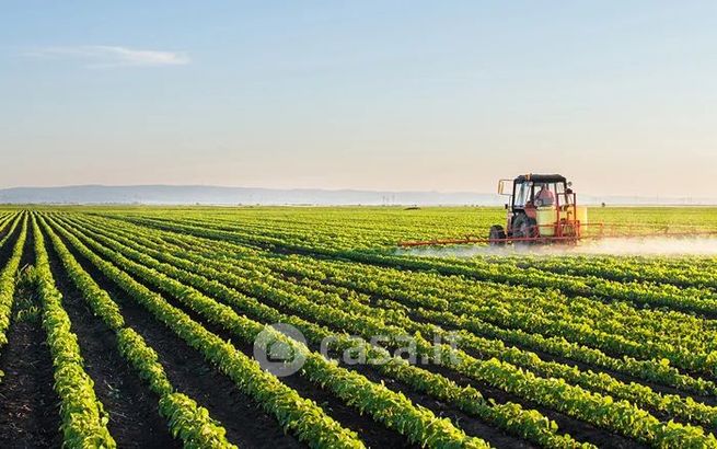 Terreno agricolo in commerciale in Via del Salcheto 100