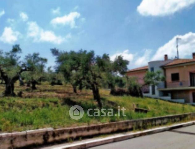 Terreno edificabile in residenziale in Prima Traversa Giuseppe Verdi