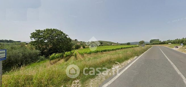 Terreno agricolo in commerciale in Strada Regionale 316