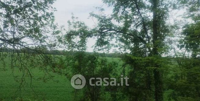 Terreno agricolo in commerciale in Via Giotto