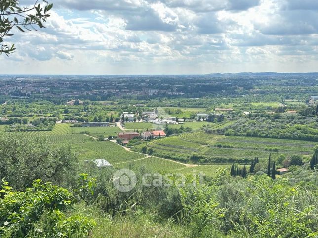 Terreno agricolo in commerciale in Via San Rocchetto 1