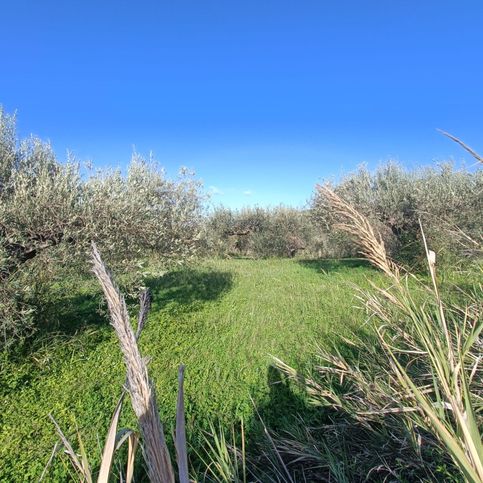 Terreno agricolo in commerciale in Contrada Porticaro