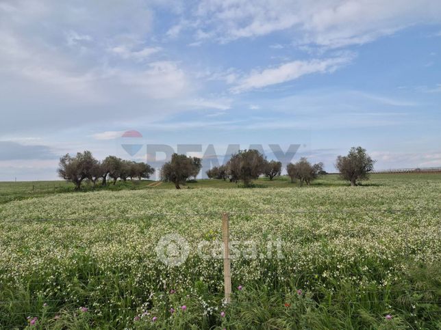 Terreno agricolo in commerciale in SP68