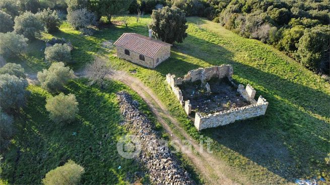 Terreno agricolo in commerciale in 