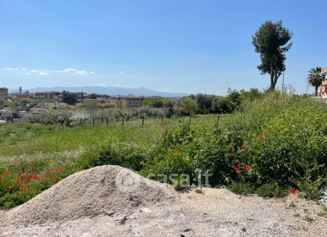 Terreno agricolo in commerciale in Via Ortucchio