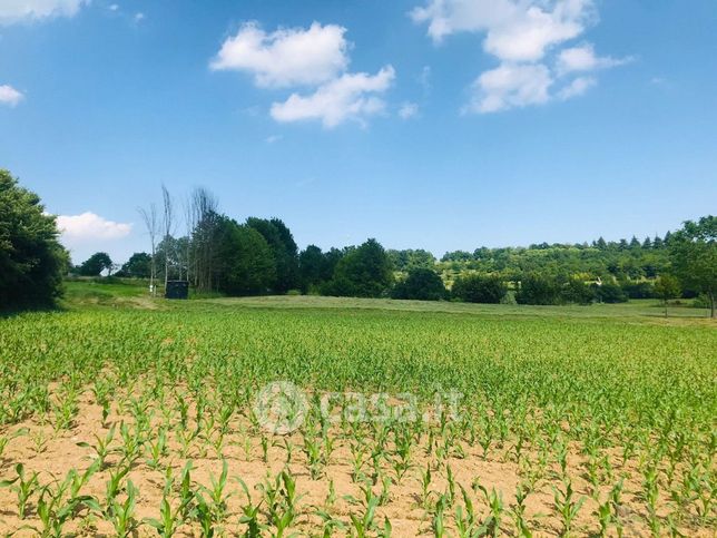 Terreno agricolo in commerciale in Via Corti