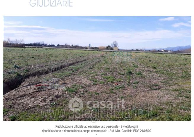 Terreno agricolo in commerciale in Via Vinacciano