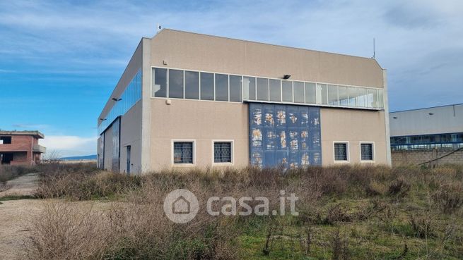 Capannone in commerciale in SS16