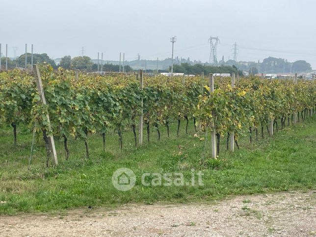 Terreno agricolo in commerciale in Via Campagna 2