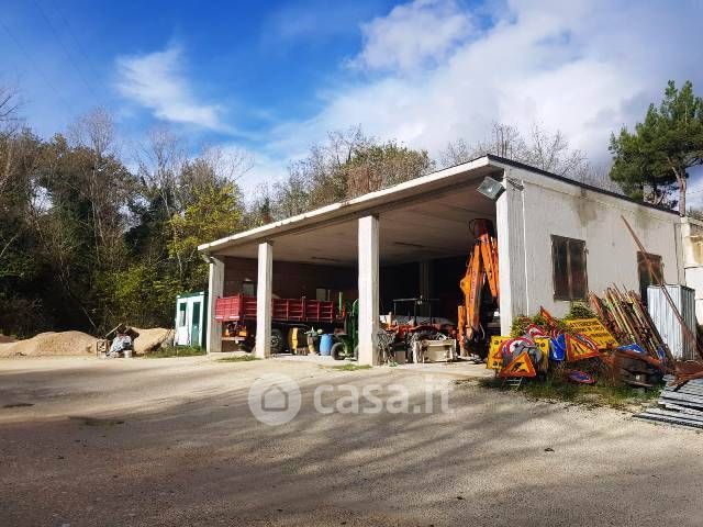 Capannone in commerciale in
