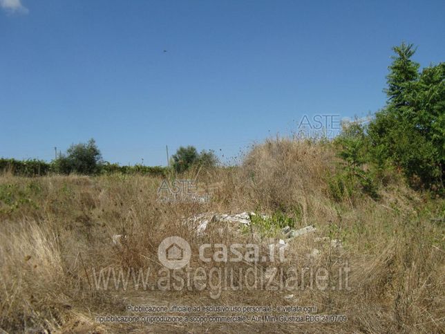 Terreno agricolo in commerciale in Via dei 5 Archi