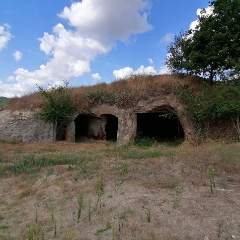 Terreno agricolo in commerciale in Via Mercante