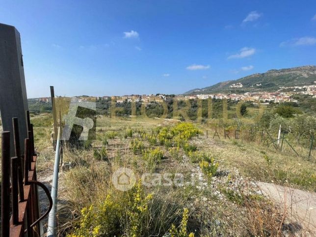 Terreno agricolo in commerciale in Contrada Pezze