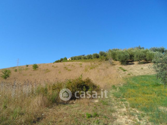 Terreno agricolo in commerciale in Via Monterone