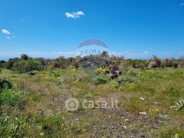 Terreno agricolo in commerciale in Strada Provinciale 56i