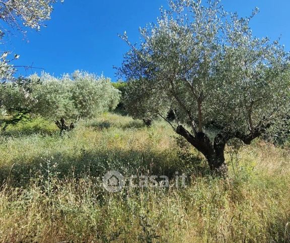 Terreno agricolo in commerciale in Via Fonte dell'Abbazia