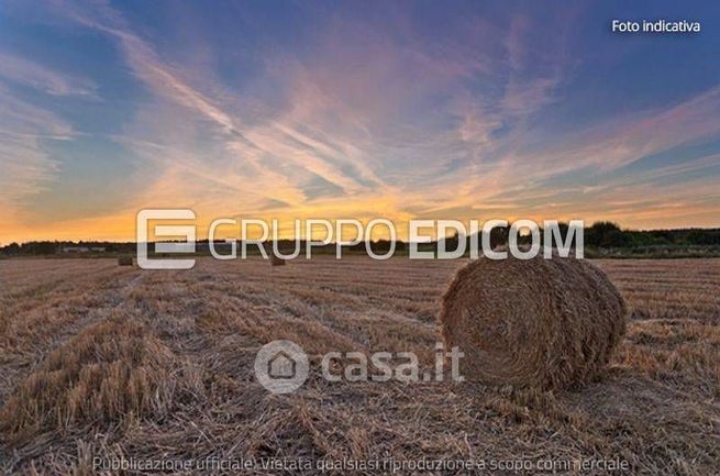 Terreno agricolo in commerciale in Strada Provinciale 62