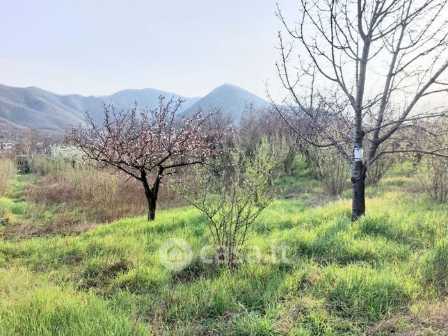Terreno agricolo in commerciale in SR266 29