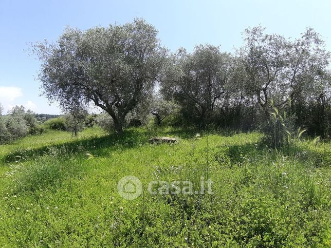 Terreno agricolo in commerciale in 