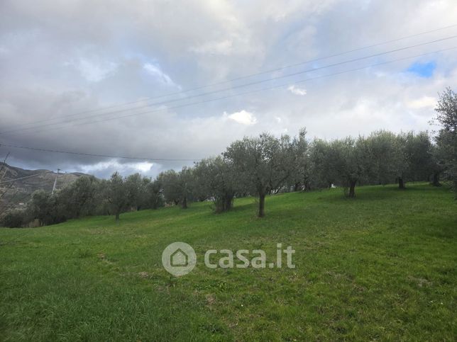 Terreno agricolo in commerciale in 