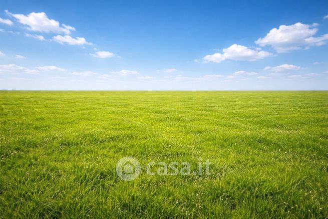 Terreno agricolo in commerciale in 