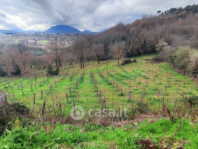 Terreno agricolo in commerciale in Contrada Castello