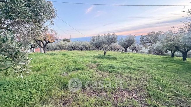 Terreno agricolo in commerciale in Via Dario Leone