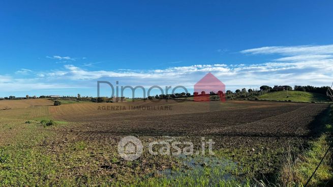 Terreno agricolo in commerciale in Strada Senza Nome