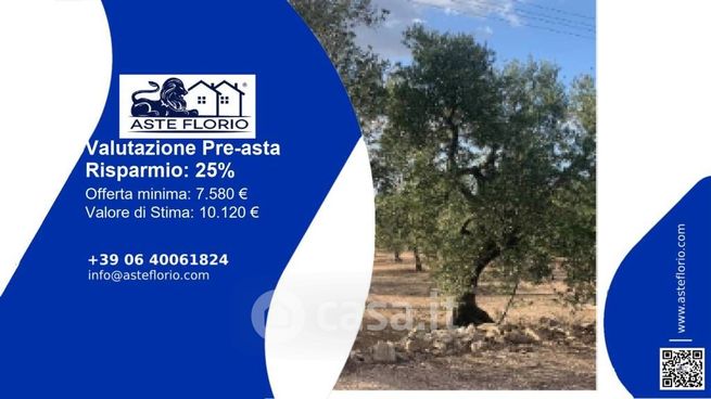 Terreno agricolo in commerciale in Via Bisceglie