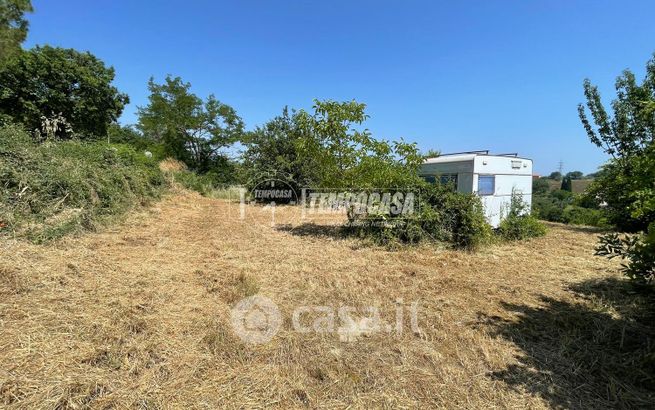 Terreno agricolo in commerciale in Strada San Michele Molinello