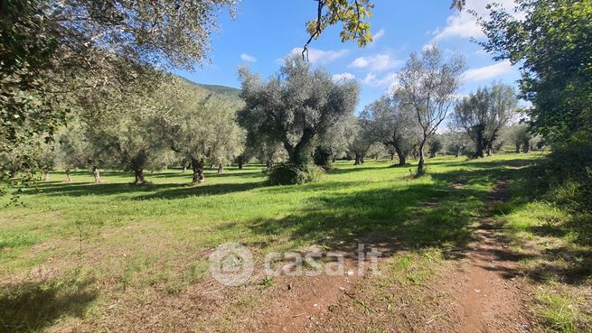 Terreno agricolo in commerciale in Via Marotta