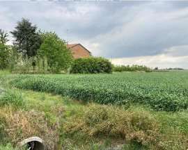 Terreno agricolo in commerciale in Via Canalvecchio