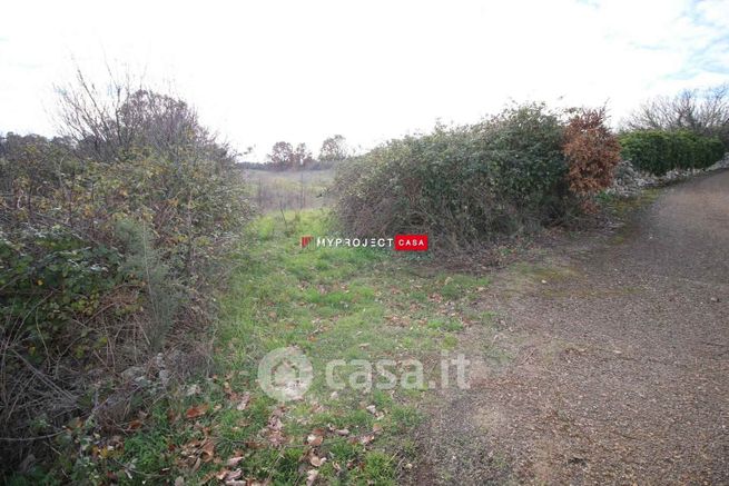 Terreno agricolo in commerciale in Viale Carella