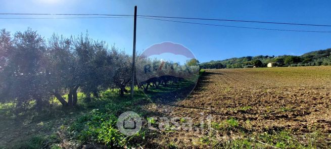 Terreno agricolo in commerciale in Via Forchiusa Est