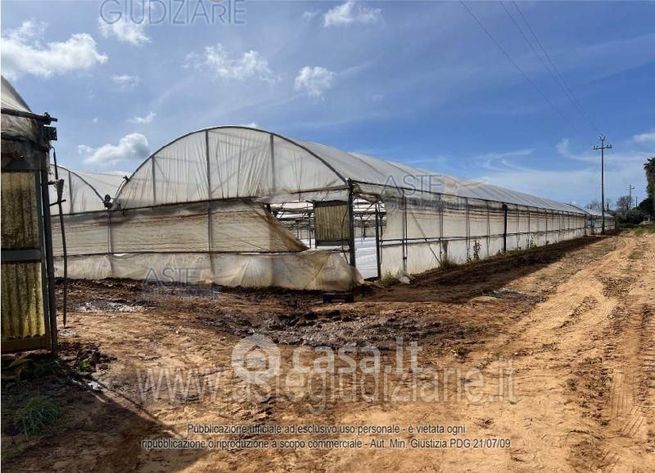 Terreno agricolo in commerciale in Via di Cavallo Morto
