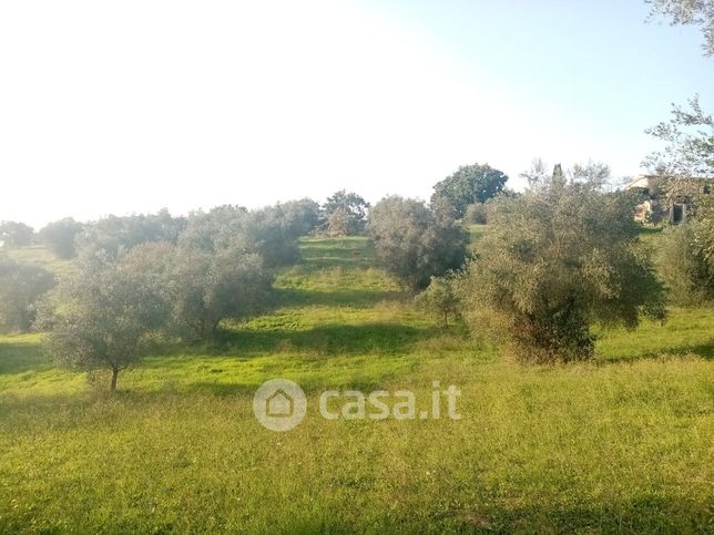 Terreno agricolo in commerciale in Località Valle Castagna - Torre Busson - Fontanile 13