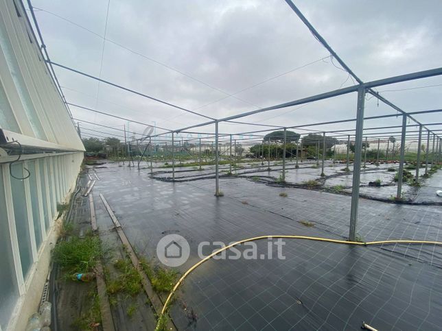 Terreno agricolo in commerciale in Prato del Vescovo