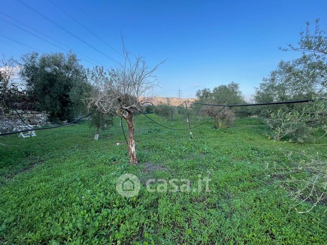 Terreno agricolo in commerciale in Strada Statale 124