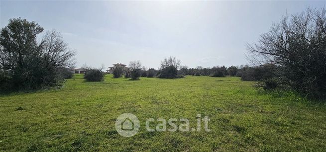 Terreno agricolo in commerciale in Contrada Villa Andreoli 386