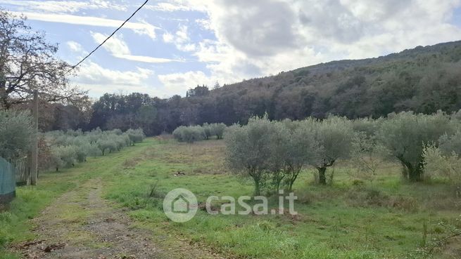 Terreno agricolo in commerciale in Strada Cappuccinelli