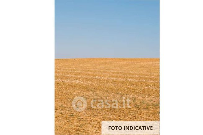 Terreno agricolo in commerciale in Strada Provinciale 57