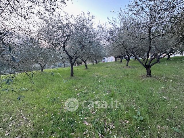 Terreno edificabile in residenziale in olmo